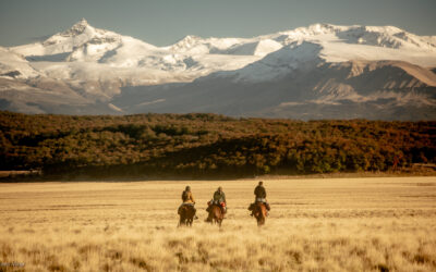 Pass of Tears 2026 – Day 9 Leaderboard