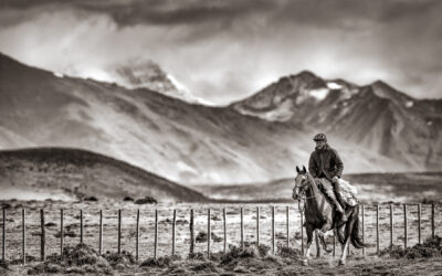 Pass of Tears 2026 – Day 7 Leaderboard