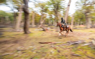 Pass of Tears 2026 – Day 4 Leaderboard